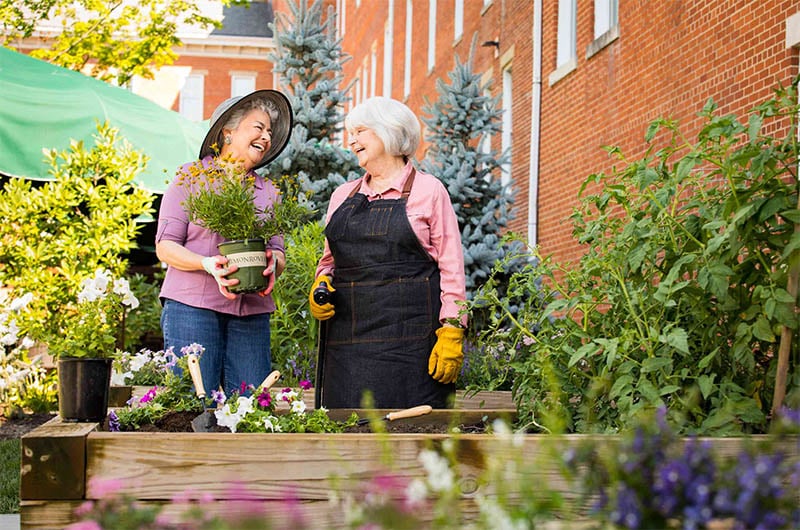 two female residents of 10 wilmington place smile and laugh as they plant flowers in a small bed