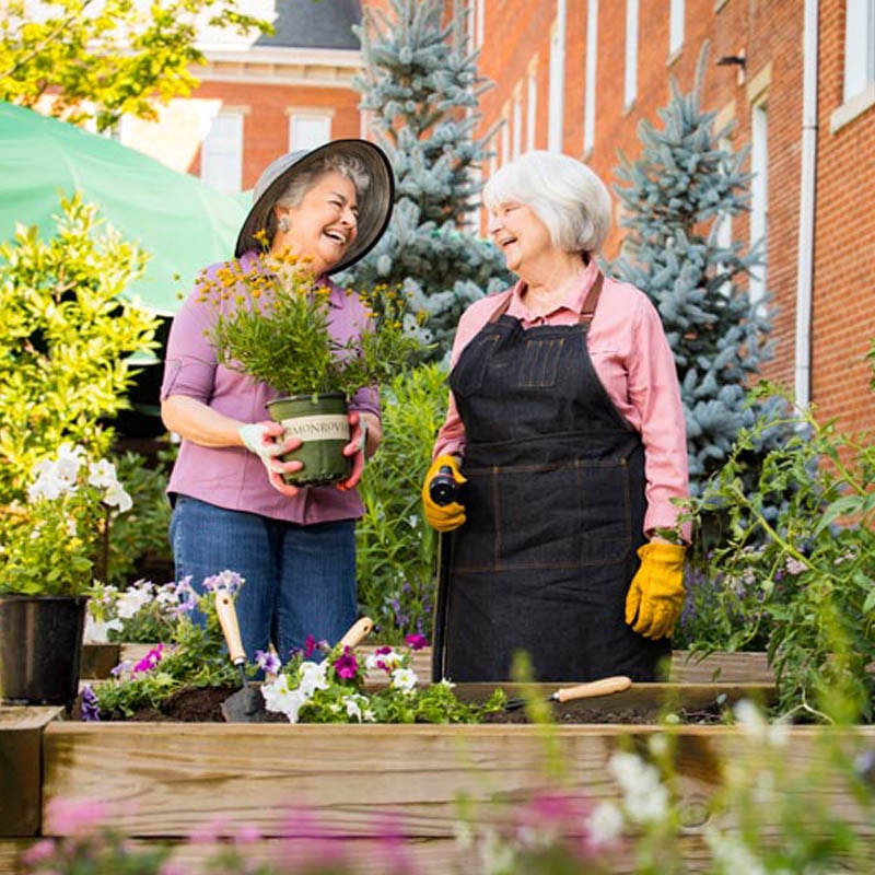 two senior residents laughing together as they work in the community garden outdoors at 10 Wilmington Place in Dayton
