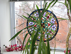 Jims window decor at 10 Wilmington Place Senior Living