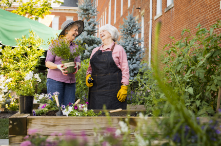 Two seniors smile at each other while gardening at 10 Wilmington Place